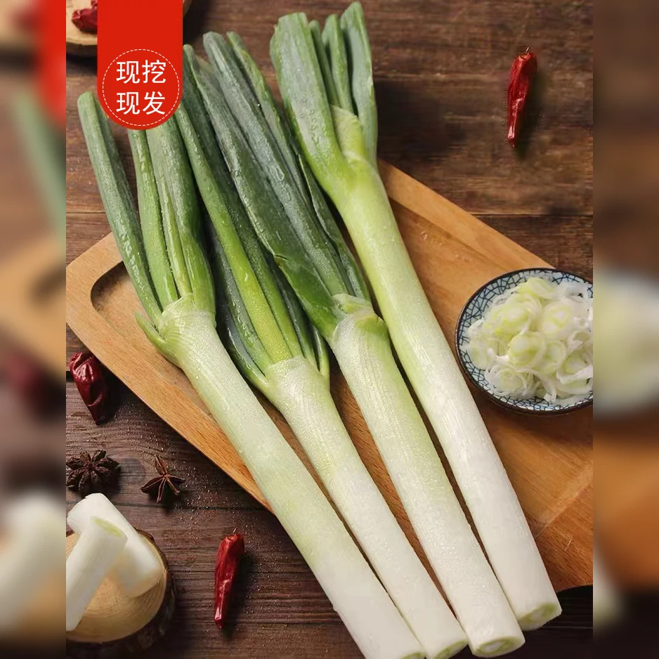 河南大葱新鲜铁杆大葱3到5斤自家种植现挖现发炒菜蘸酱NM