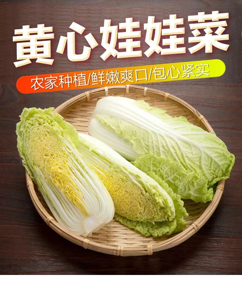 【现砍现发】自种新鲜精品娃娃菜火锅食材蔬菜5斤农家自种多汁NM