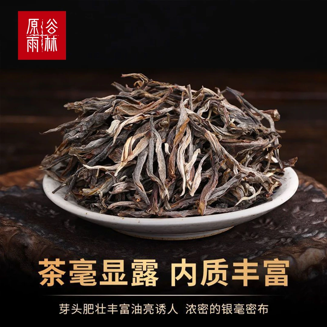 【原谷雨林】24年忙麓山正山头昔归古树普洱生茶品质好茶高级茶叶