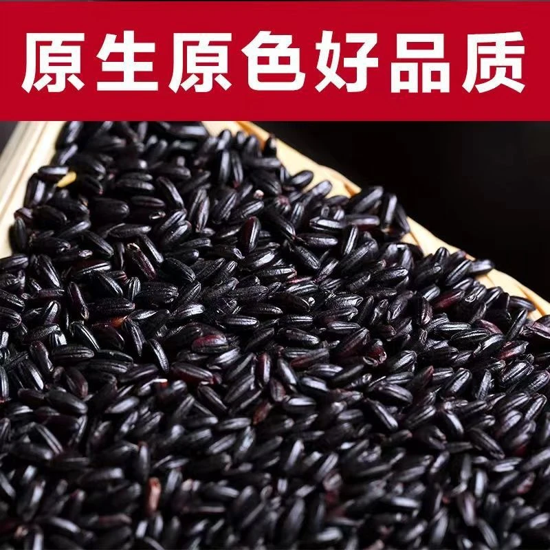 贵州黔东南高山梯田胭脂紫米 黏糯 天然米香产自健康营养