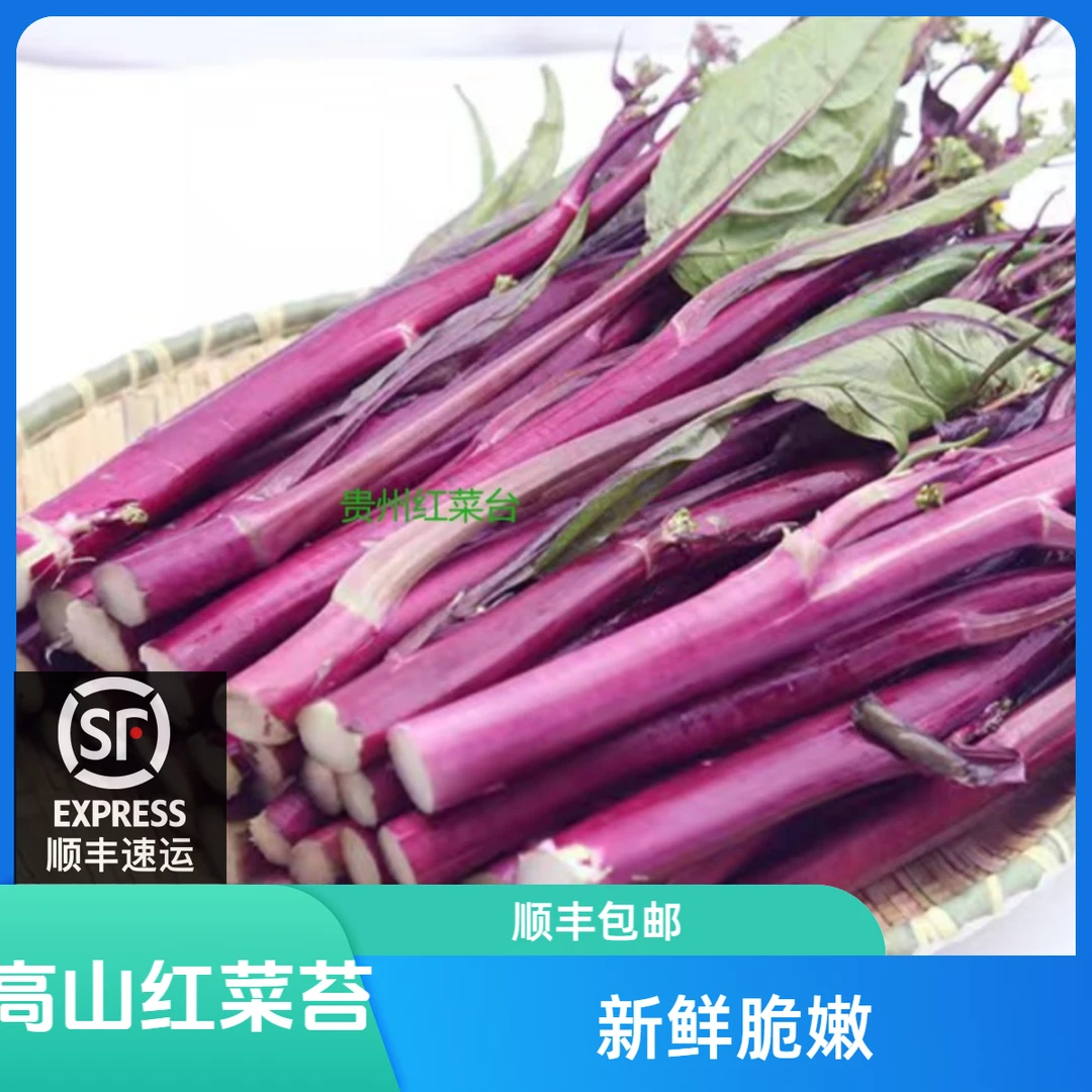 【顺丰包邮】贵州高山红菜台新鲜 现摘 脆嫩 好吃干净红菜苔