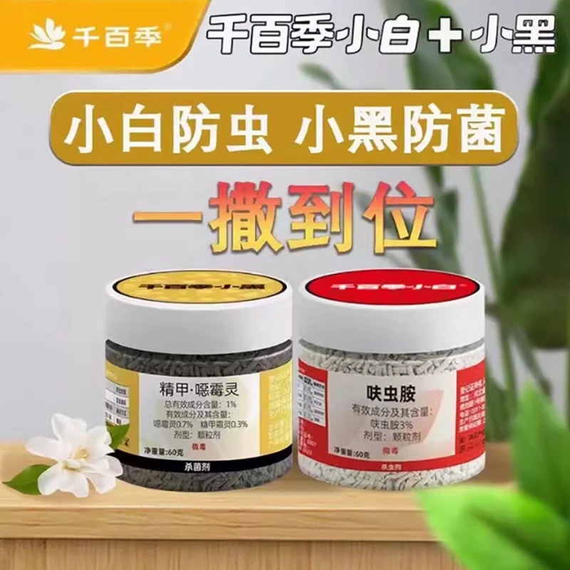 小黑小白多肉月季兰花适用一次施用可达60天左右预防栽种家庭移栽