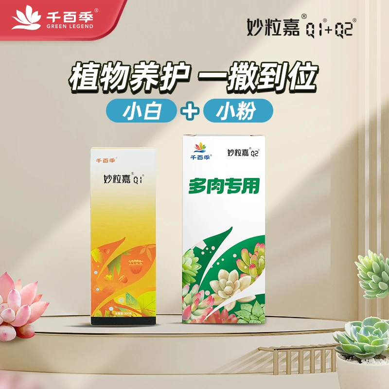 多肉植物缓释异味小白颗粒妙粒嘉Q1Q2组合60天左右使用一次