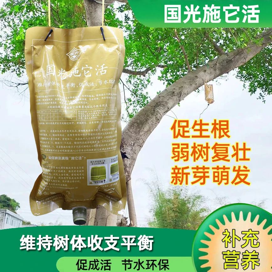 国光施它活植物通用吊针液提高大树移栽成活率古树复壮生根园林