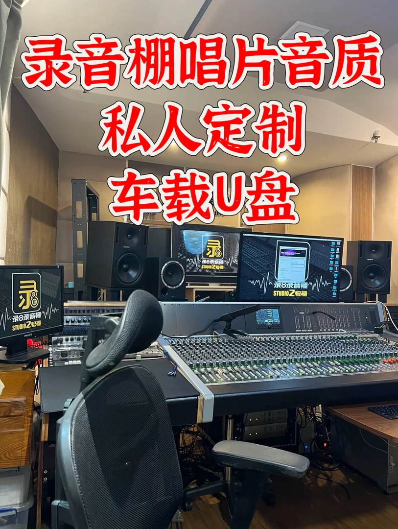 【2025款全新升级】正版母带 精选歌单 黑胶芯片 不挑车型 即插即用