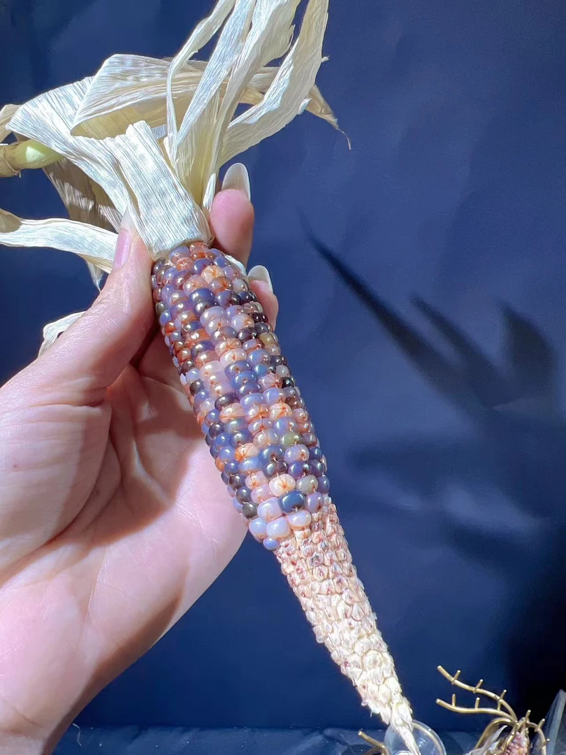 文玩玉米一物一拍