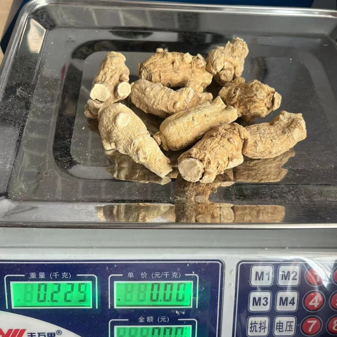 长白山  整支短体软质西洋参25克左右 250g 500g 整枝西洋参