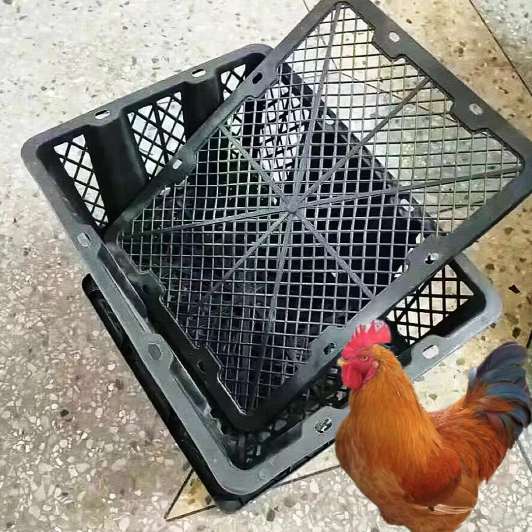 【九斤红】养殖塑料笼子框可装10只运输方便抗压抗摔
