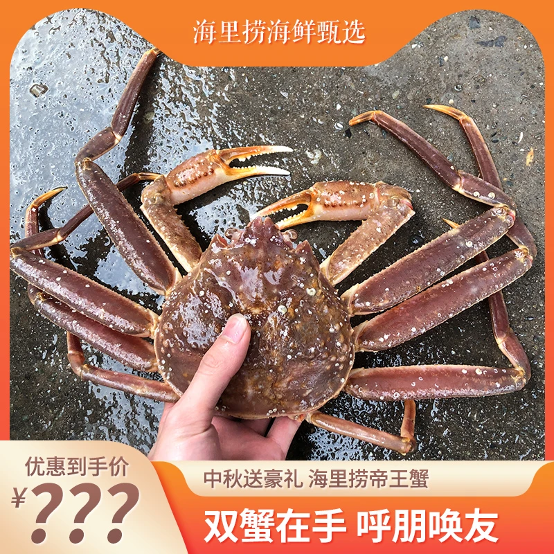 俄罗斯鲜活雪蟹（板蟹）口感鲜甜 包鲜 包售后 不包活