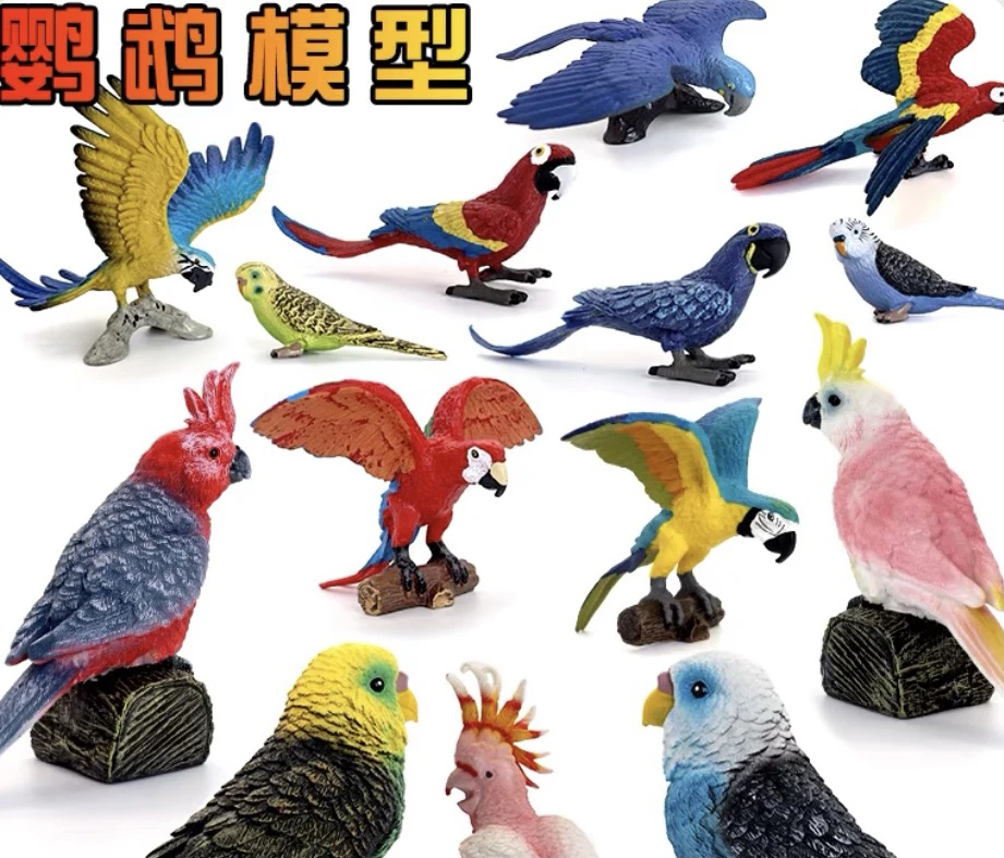各种鹦鹉玩偶和尚金太吸蜜凯克灰机折中葵花金刚亚马逊预定卡