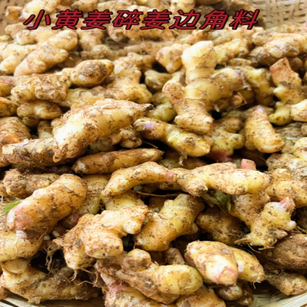 【碎姜】小黄姜碎姜9斤边角料次姜小姜