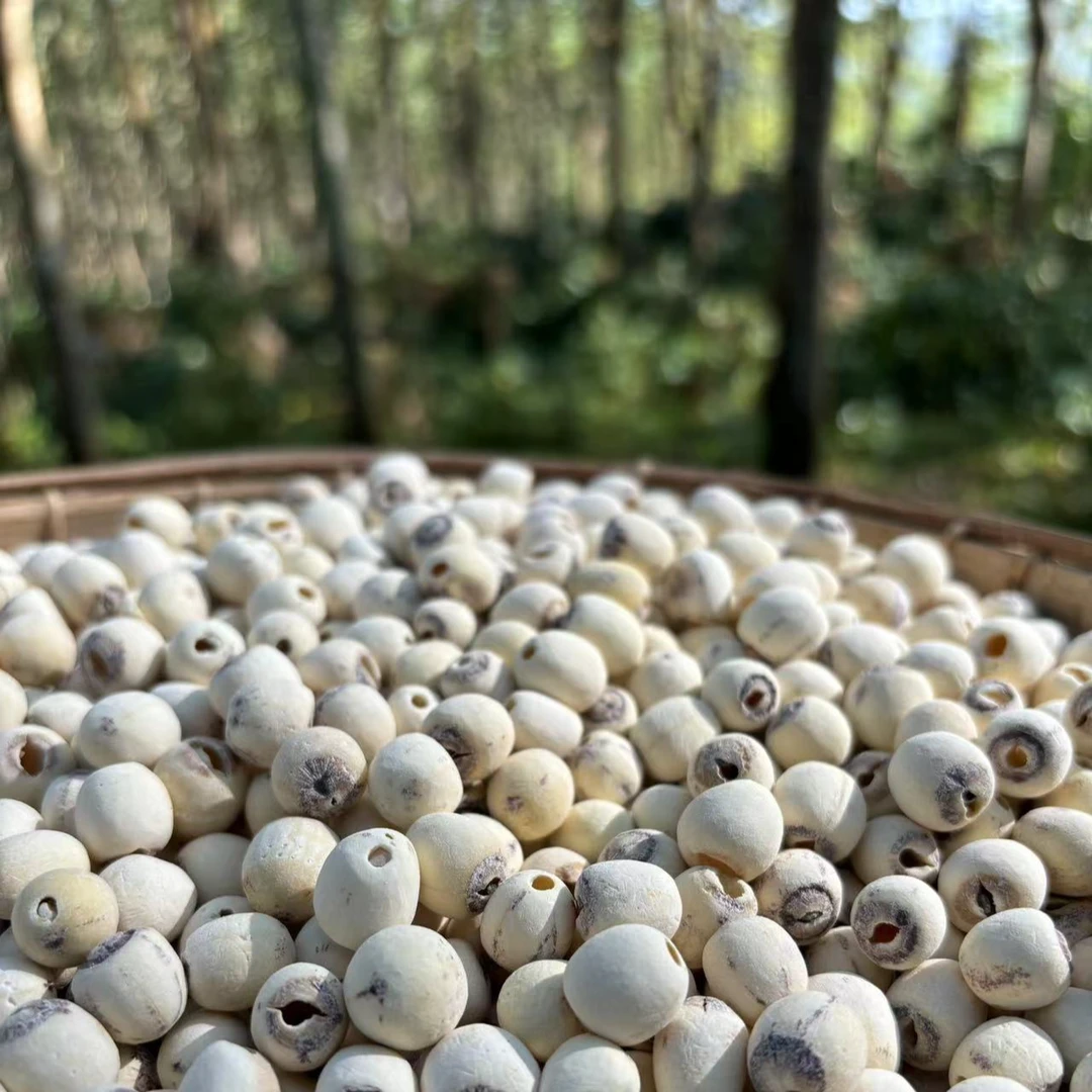 【阿海精选】土特产莲子