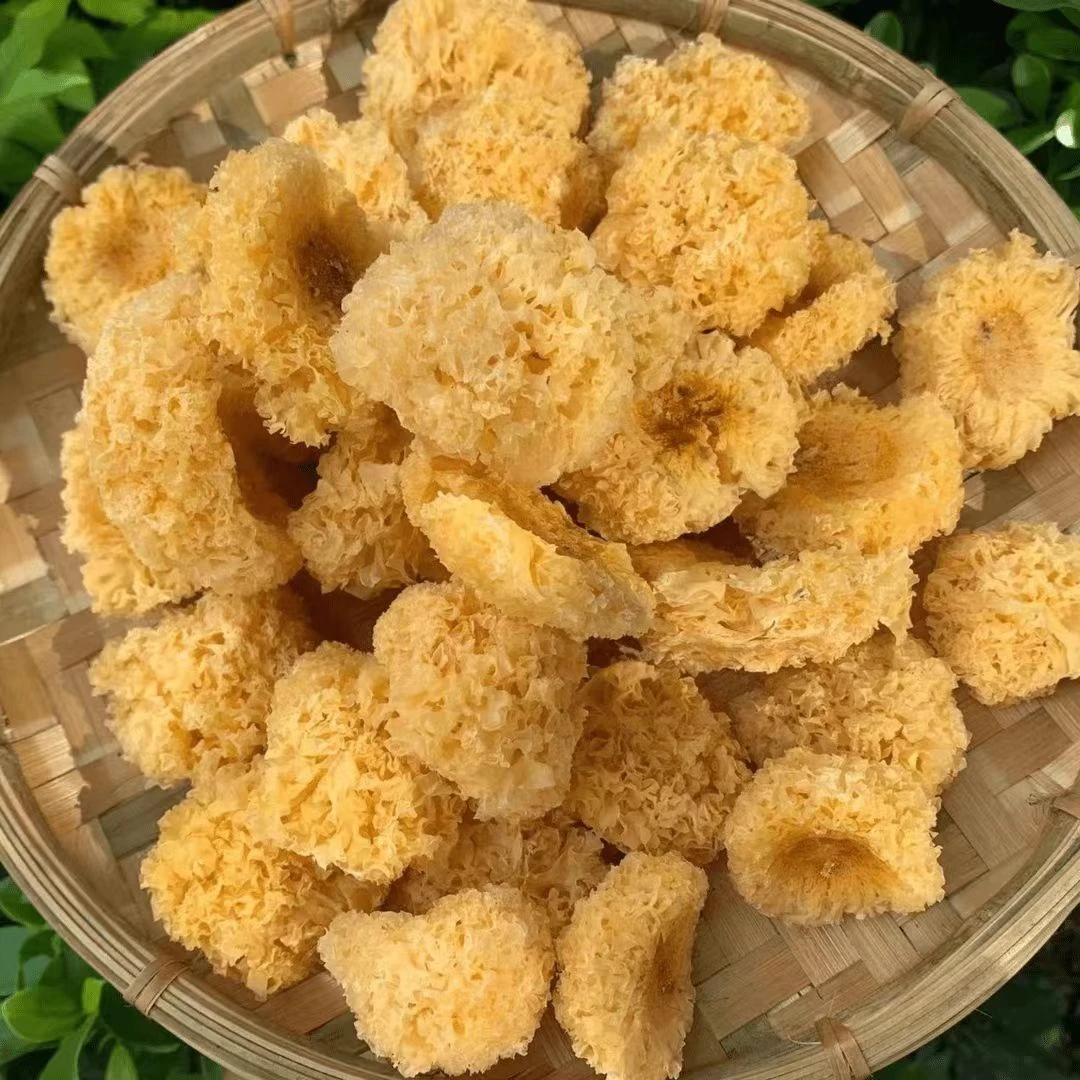 【阿海精选】土特产黄银耳