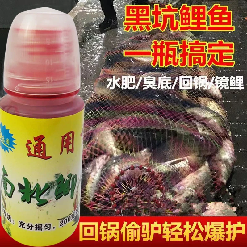 南北鲫鲤通用型添加剂黑坑正钓穿透力强散炮秋冬款鲤鱼鲫鱼草鱼