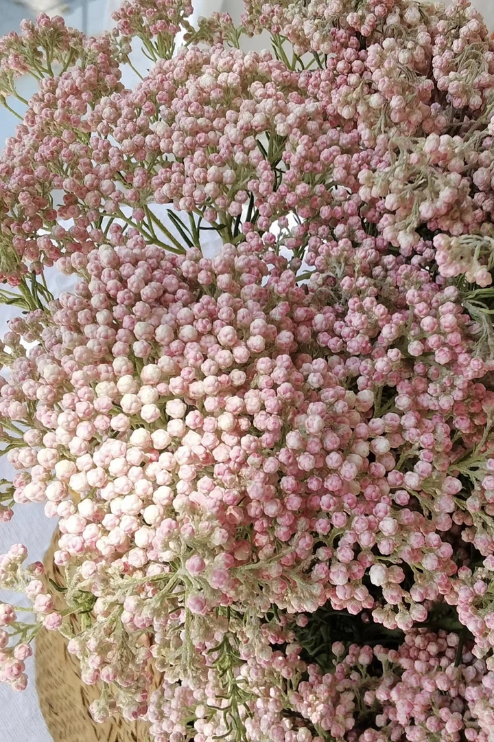 小米花鲜花可自然风干长久保存办公室装饰