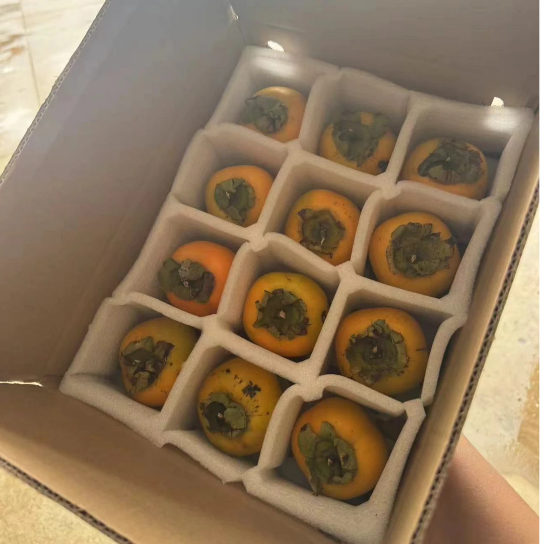 崇明柿子12个装/箱
