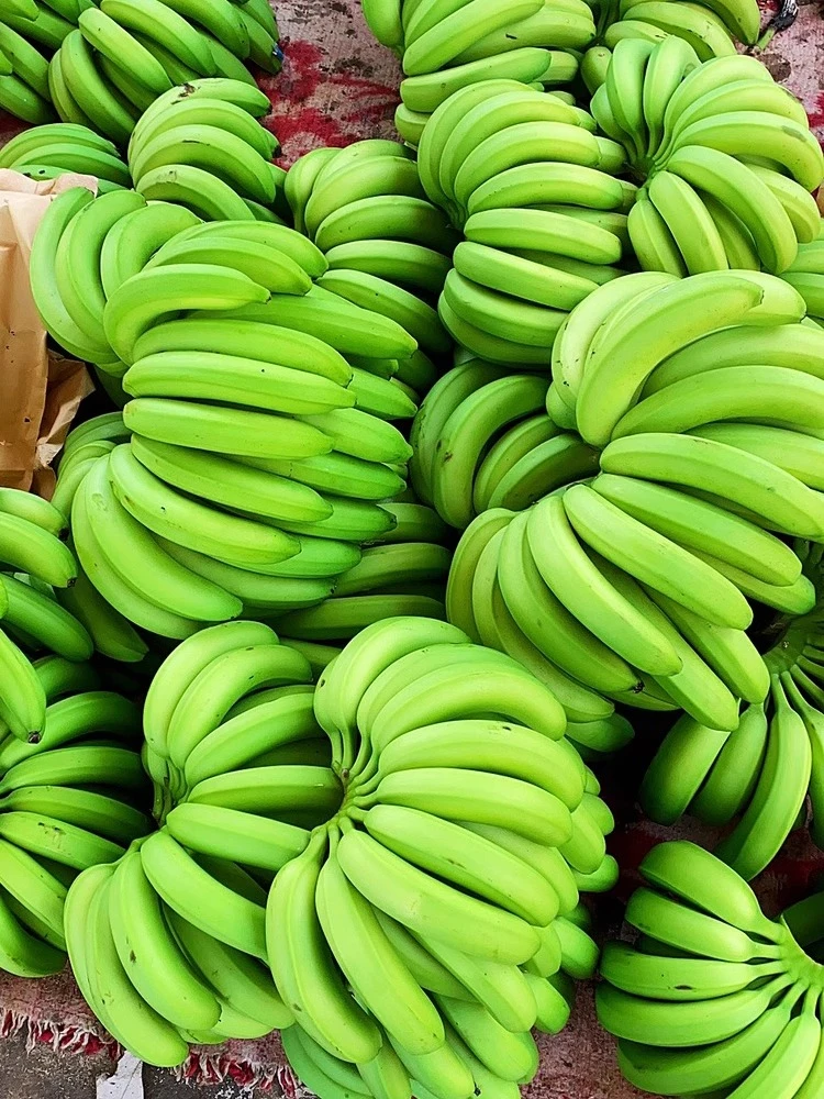 【限量特惠】云南特产高山大香蕉新鲜绿皮水果软糯香甜