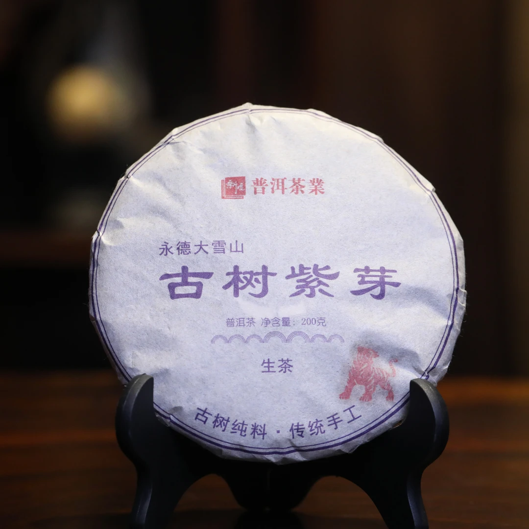 22年永德大雪山古树紫芽普洱生茶