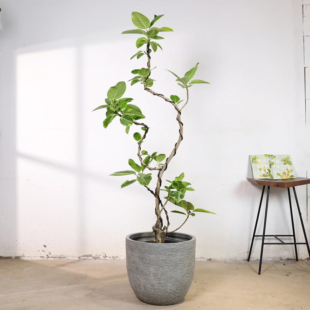 设计师款镁泥花盆纯手工制作客厅落地盆器大花盆种树绿植盆器34
