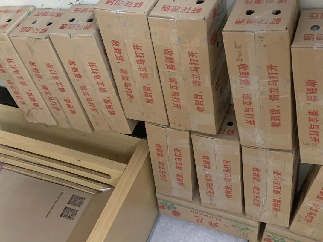兔儿兰磨砂兔银灰兔