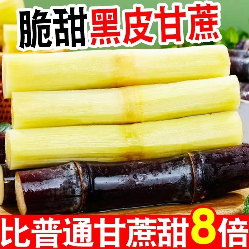 广西新鲜黑皮水果甘蔗3-9斤应季果园产地直发水果