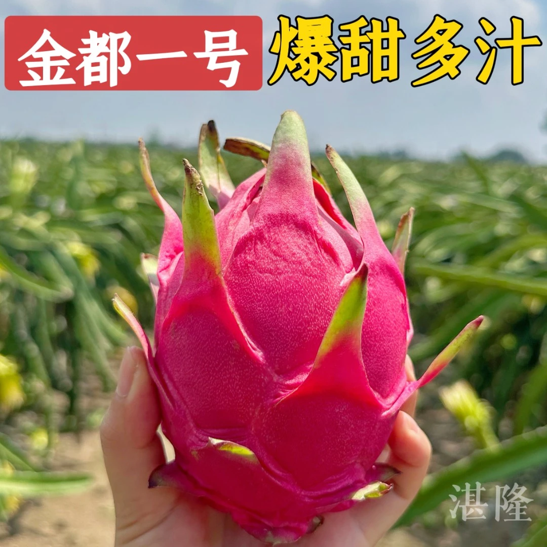 金都一号红心火龙果新鲜整箱批发5斤