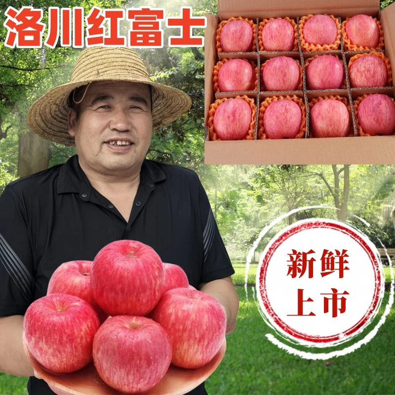 正宗洛川红富士苹果脆甜多汁新鲜苹果红苹果当季水果孕妇宝宝水果