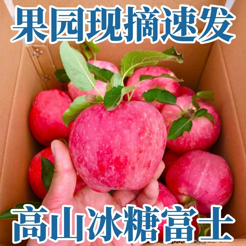 高山冰糖红富士陕西红富士脆甜核小香甜多汁新鲜苹果产地直发包邮