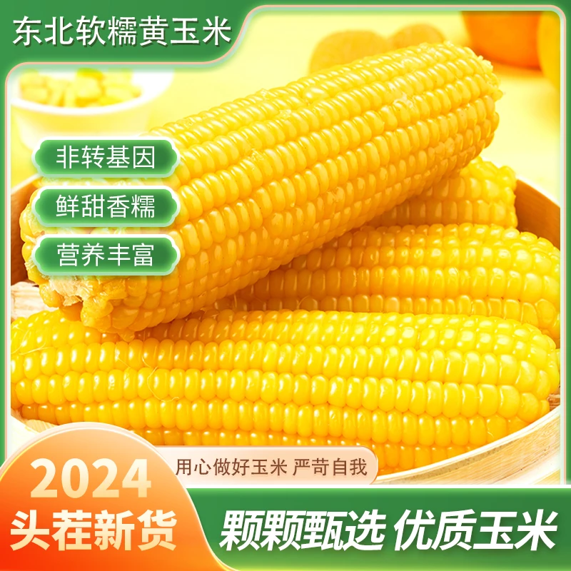 （主播推荐）头茬东北黄糯玉米真空包装黄糯玉米熟粘玉米鲜嫩低脂