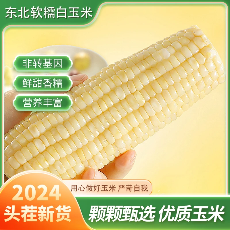 （试吃2根）正宗东北白糯玉米软糯香甜减脂代餐单支200g-260g10支.