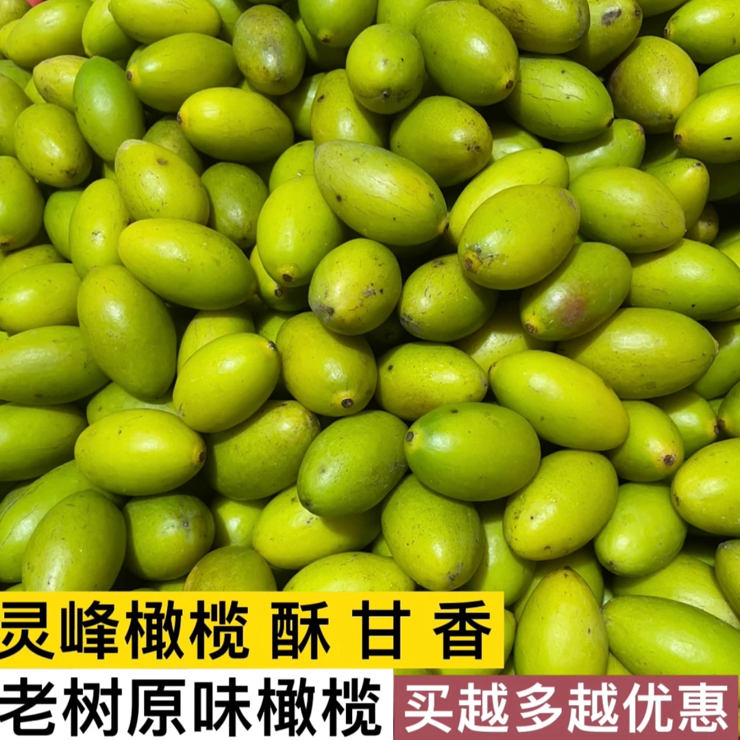 金玉卿姑 金灶本地老树灵峰橄榄新鲜采摘 一斤装