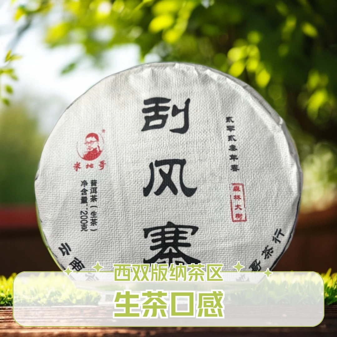 刮风寨 2023头春 森林大树 生茶 200克