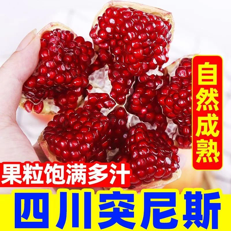 （现货现发）四川突尼斯软籽石榴新鲜水果孕妇应季水果5斤装