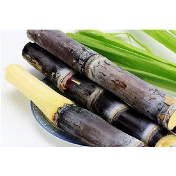 【正宗】广西甘蔗1根