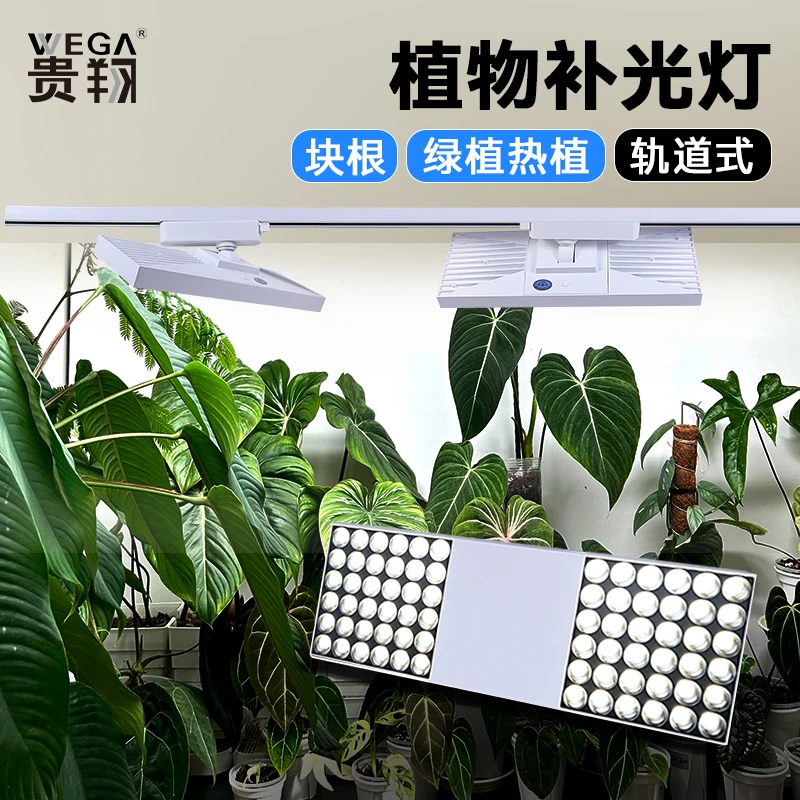 贵翔&初色 射灯筒灯轨道植物补光灯全光谱LED龙舌兰植物墙生长灯
