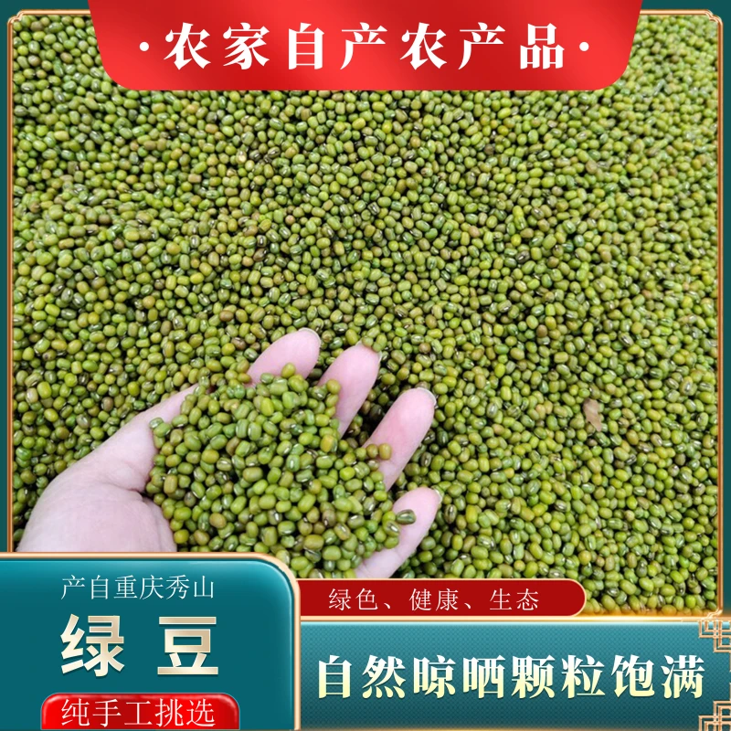 绿色生态绿豆重庆秀山农家自产山村手工精选颗粒饱满半斤装