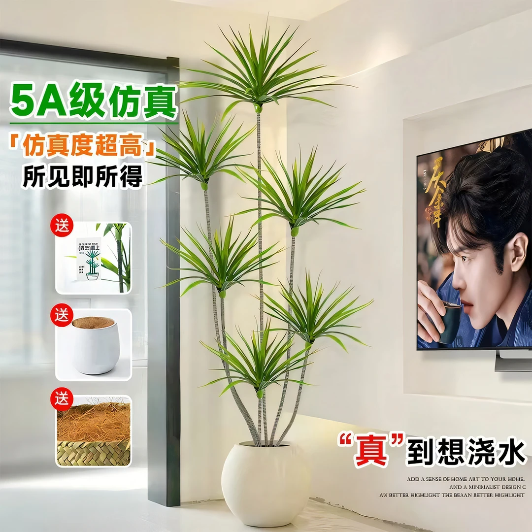 新款北欧龙舌兰仿真绿植轻奢客厅卧室装饰高级逼真落地