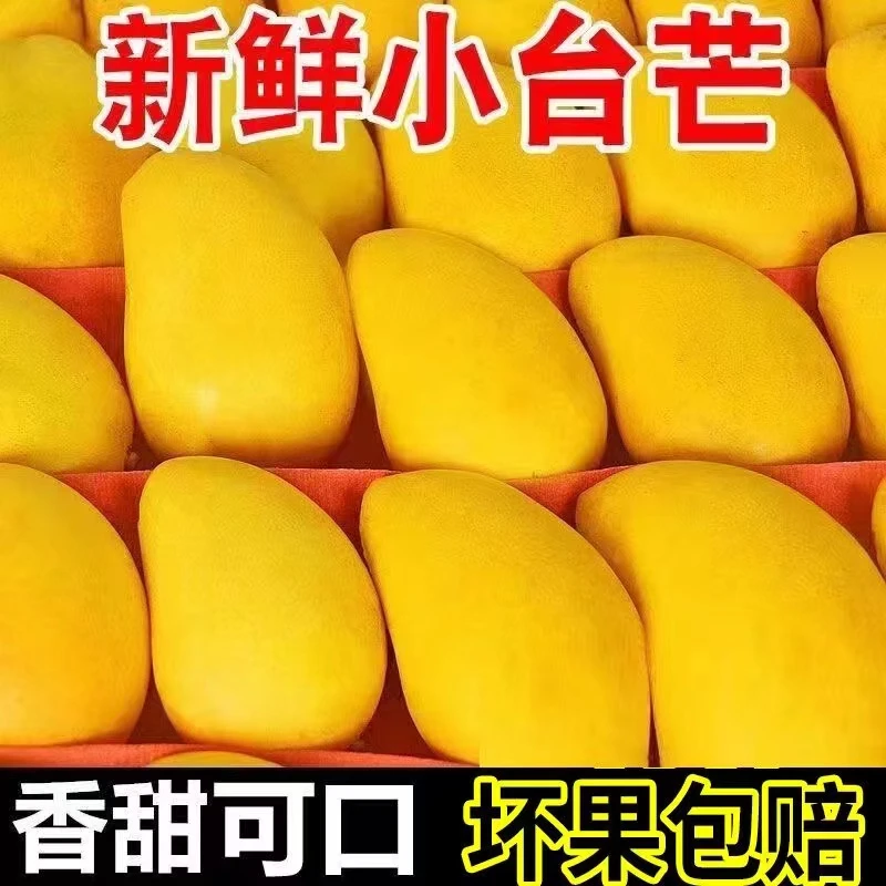 海南小台农芒果新鲜现摘应当季热带水果小台鸡蛋芒特产整箱包邮