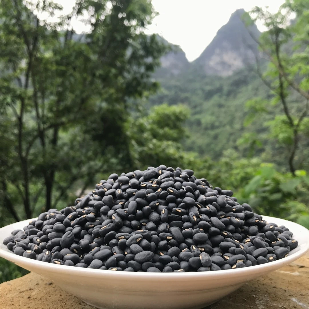 【2斤包邮】肾形黑豆消费帮扶农家自产农特产品可做种子原生态