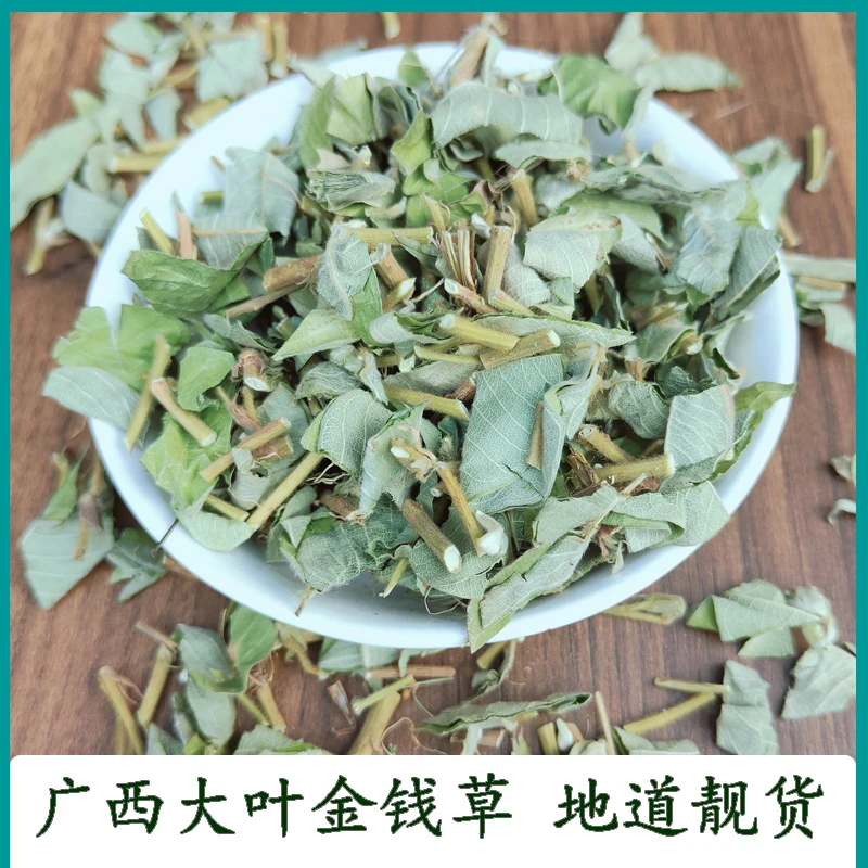 广西大叶金钱草 精选新鲜干货泡水煲汤500克 切段 正宗金钱草