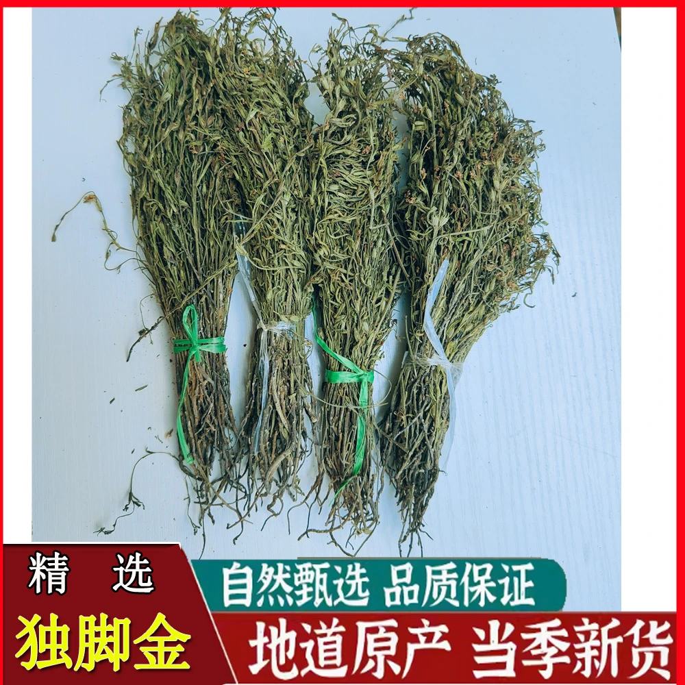 野生 独脚金  疳积草 广西 独角金  孩儿草 煲汤炖肉