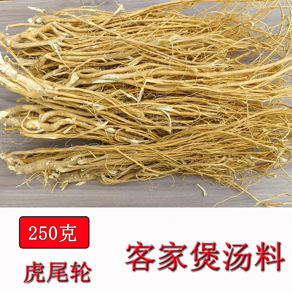 虎尾轮 石参根 客家煲汤料 配五指毛桃牛乳树根虎尾轮根 广西野生