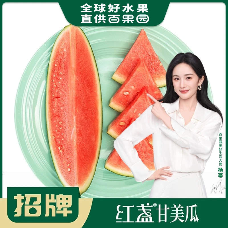 招牌-红盏甘美瓜（中）甘美4K西瓜