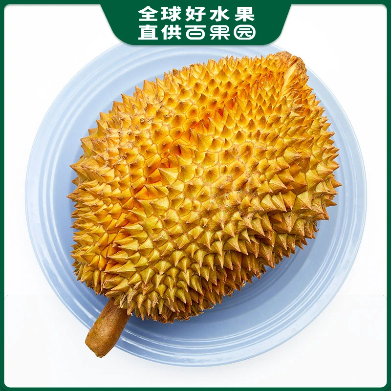 A级-泰国金枕榴莲（中）（保4房肉）