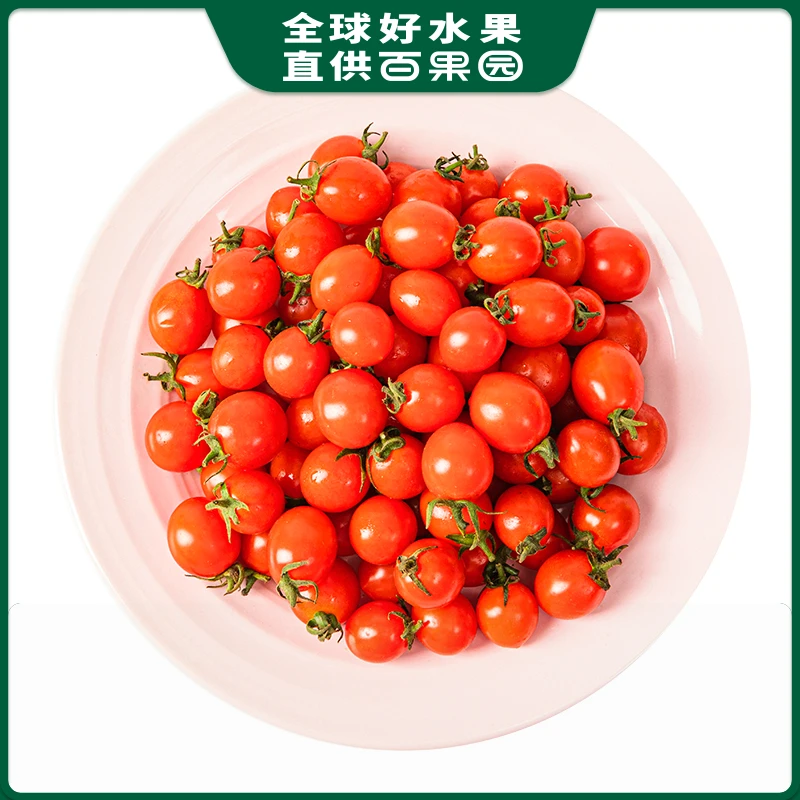 A级-玲珑小番茄（小）1份/480-500g番茄同城配