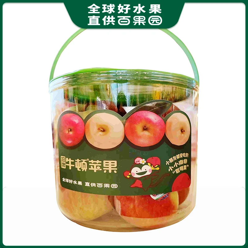 【量贩装】招牌-牛顿苹果小（份）1kg【桶装】1桶