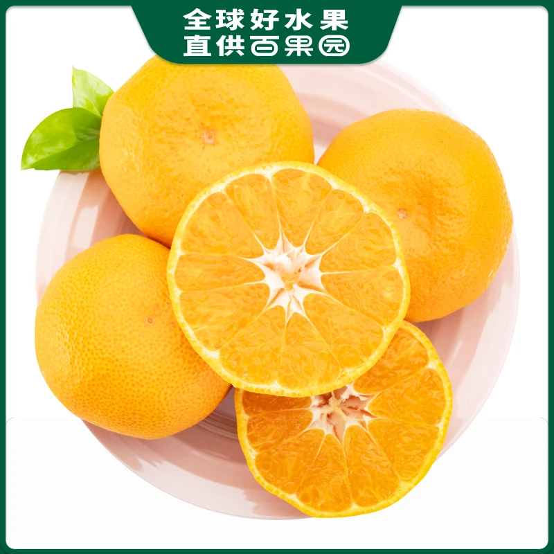 B级-耙耙柑（大）1份400-500g