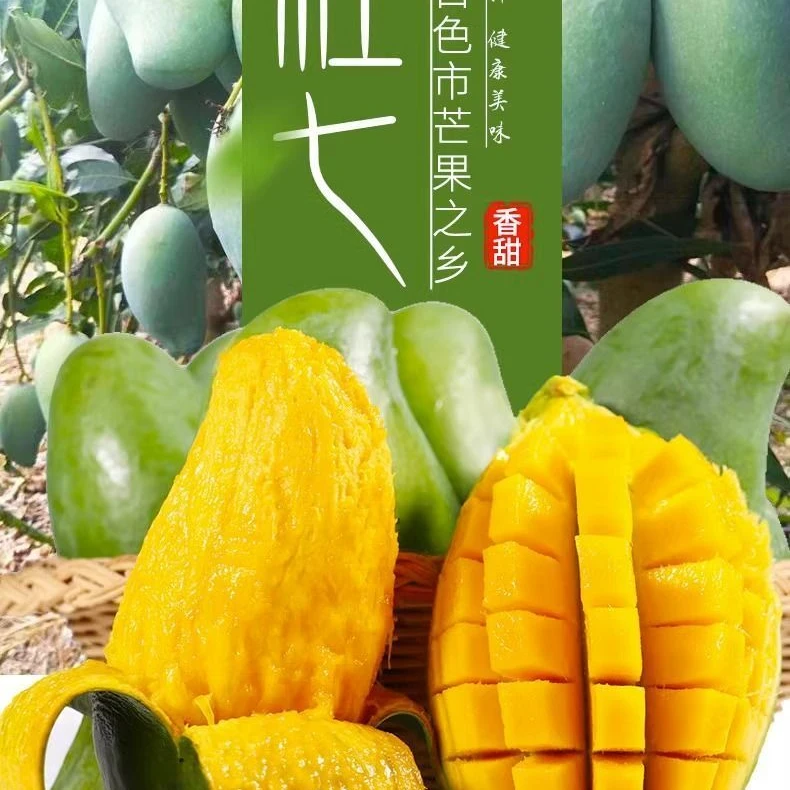 正宗广西百色精品大桂七芒10斤新鲜当季包邮