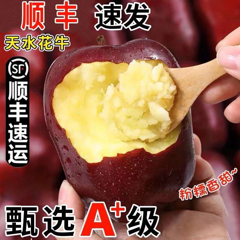 【顺丰礼盒】天水花牛嘎啦苹果正宗一果老人小孩辅食脆甜送礼必备