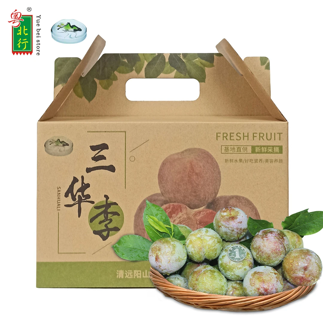 粤北行三华李6斤中大果 甜脆多汁福寿李子果新鲜皮薄肉厚产地直发